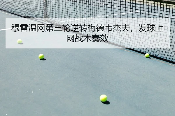 mu-lei-wen-wang-di-san-lun-ni-zhuan-mei-de-wei-jie-fu-fa-qiu-shang-wang-zhan-shu-zou-xiao-2-610.jpg