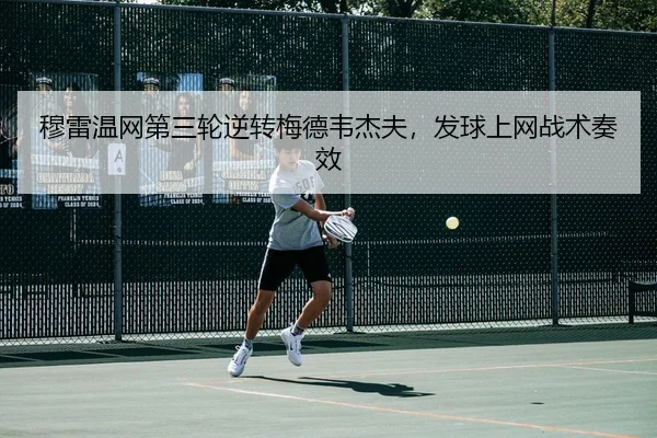mu-lei-wen-wang-di-san-lun-ni-zhuan-mei-de-wei-jie-fu-fa-qiu-shang-wang-zhan-shu-zou-xiao-3-661.jpg