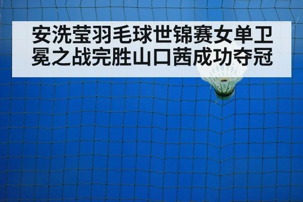 badminton net play