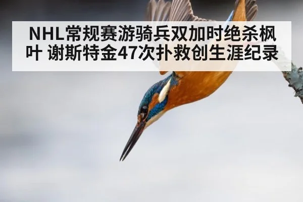 NHL常规赛游骑兵双加时绝杀枫叶 谢斯特金47次扑救创生涯纪录