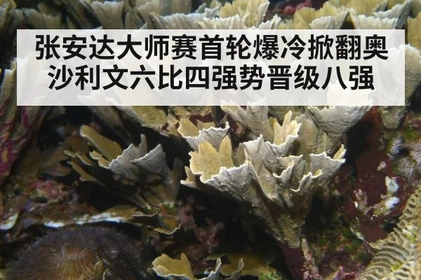 张安达大师赛首轮爆冷掀翻奥沙利文六比四强势晋级八强