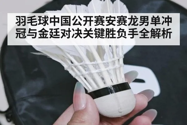 羽毛球中国公开赛安赛龙男单冲冠与金廷对决关键胜负手全解析